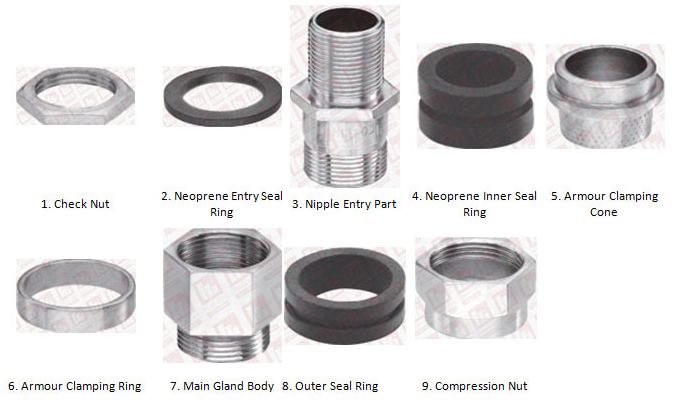 DOUBLE Compression Flam Proof Gland