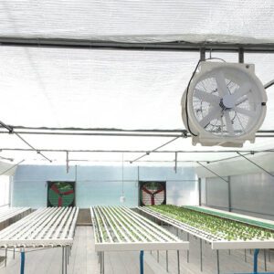 panel fan greenhouse